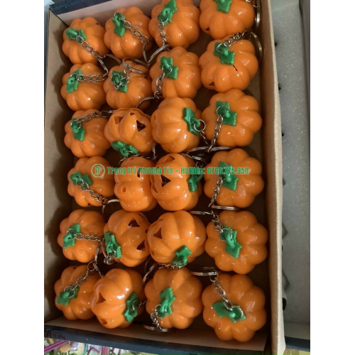 Hộp đựng bí ngô