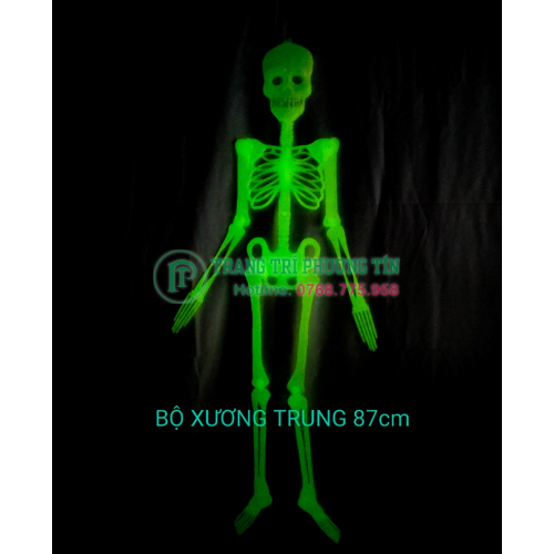 Bộ xương trang trí phát sáng