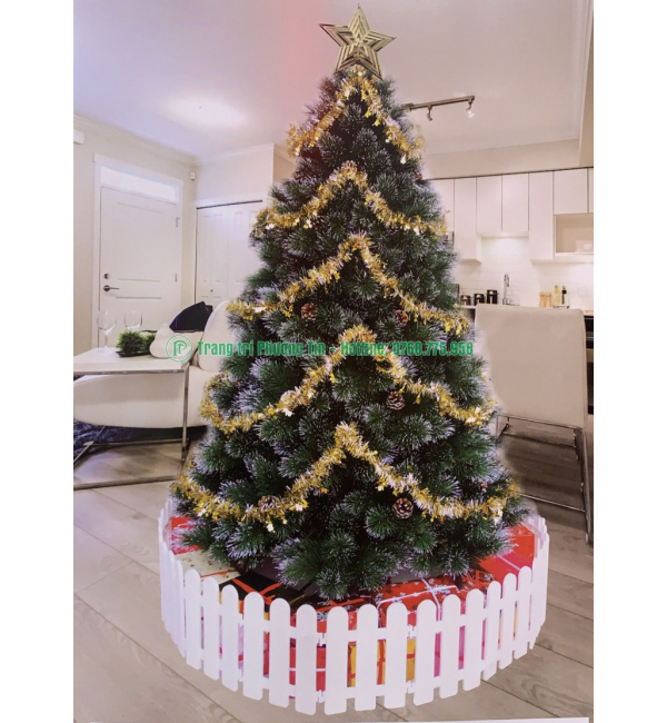 Cây thông Noel