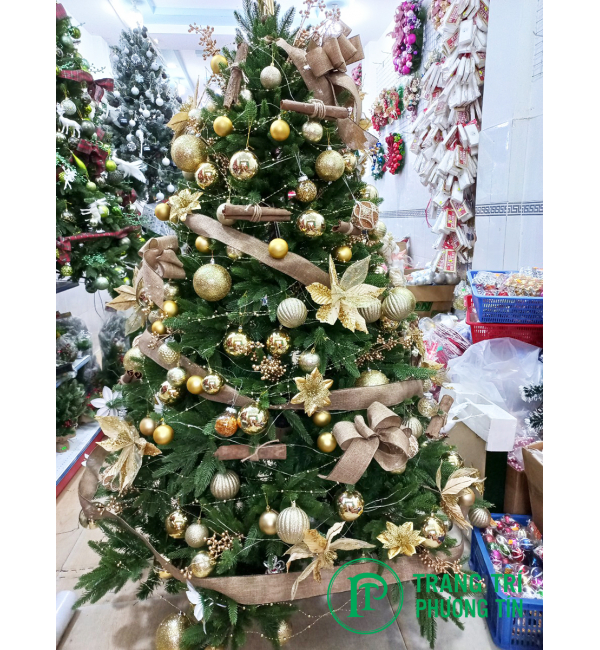 Cây thông Giáng Sinh