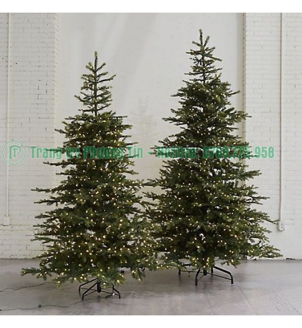 Cây thông Noel trang trí