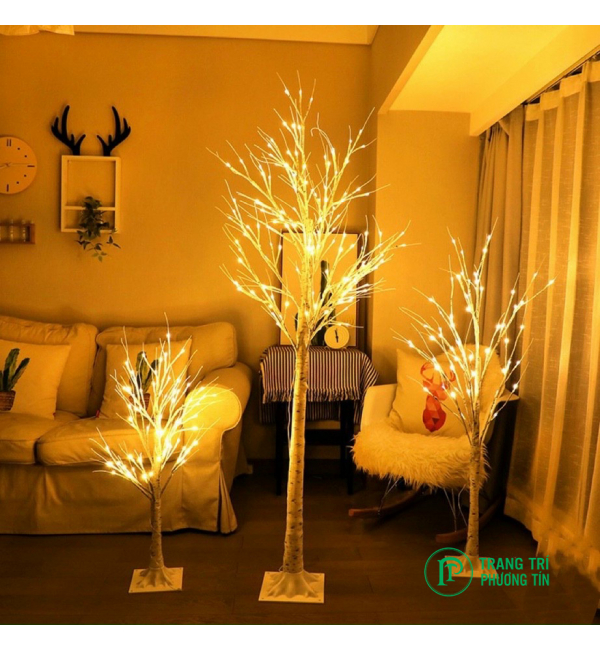 Cây thông đèn 