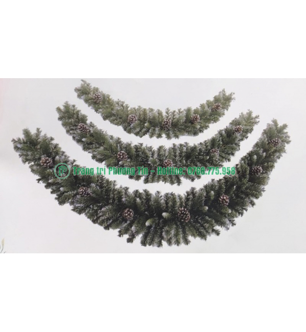 Dây mây 3 loại lá gắn trái thông