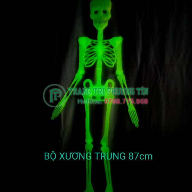 Bộ xương trang trí phát sáng