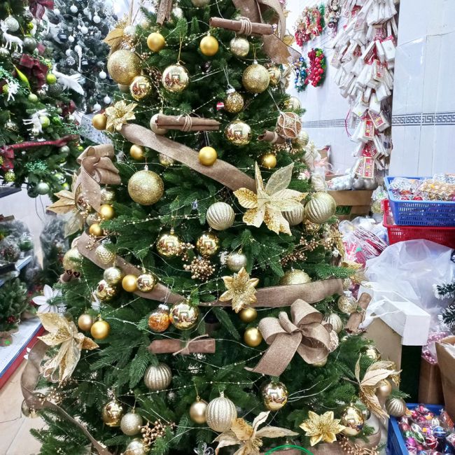 Cây thông Giáng Sinh