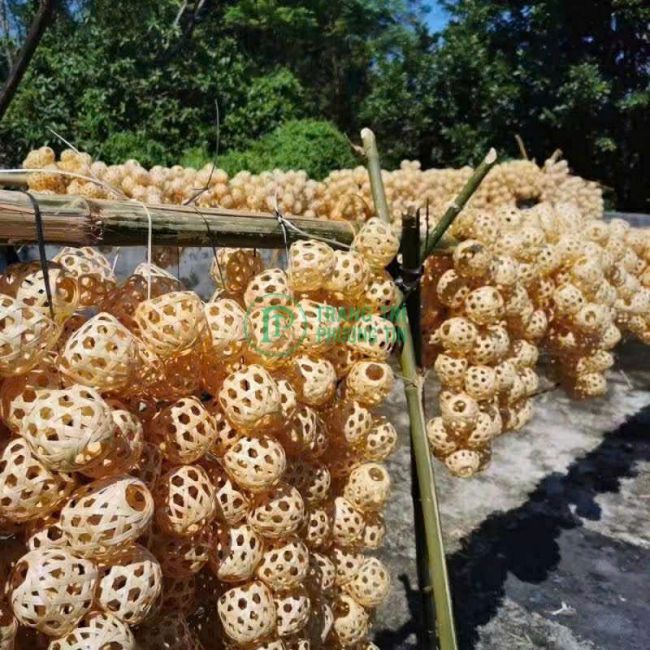 Cung cấp đèn trung thu 2026 giá sỉ - hình 40