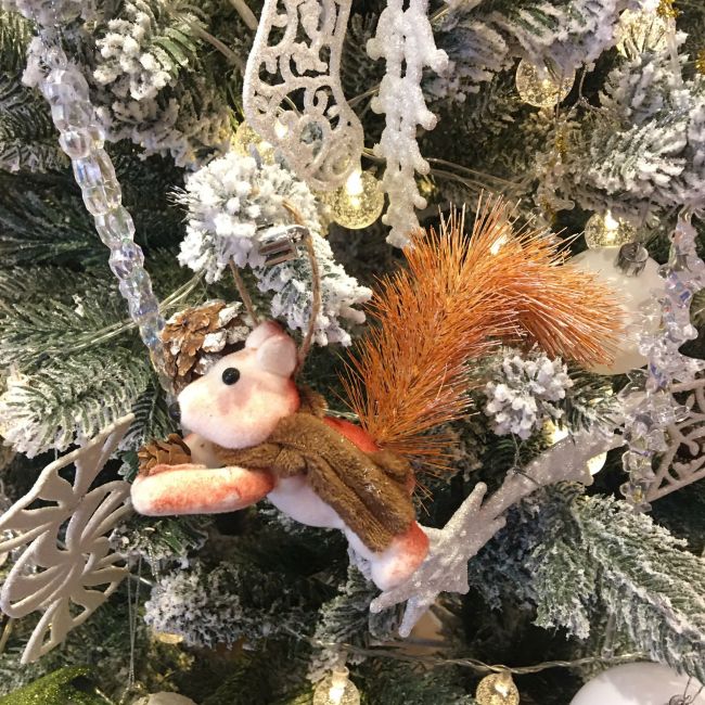 Sóc trang trí cây thông Noel