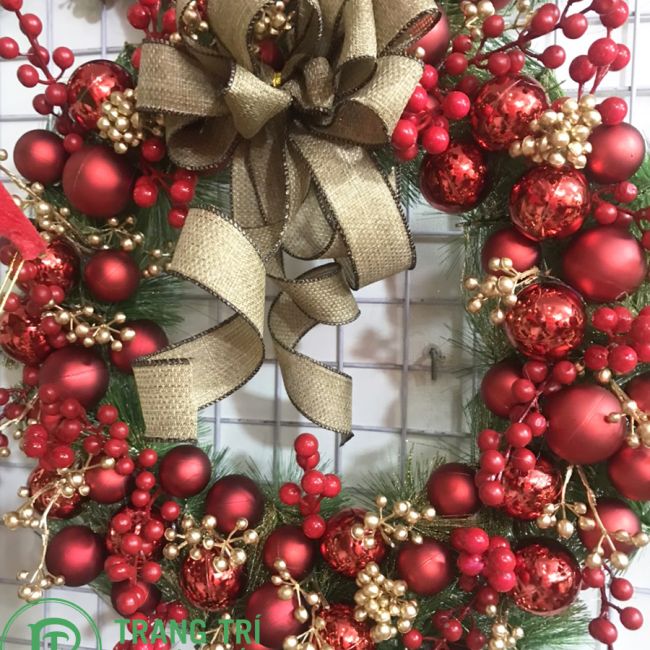 Vòng nguyệt quế nơ vàng, quả châu đỏ