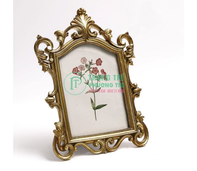 Khung hình họa tiết cổ điển