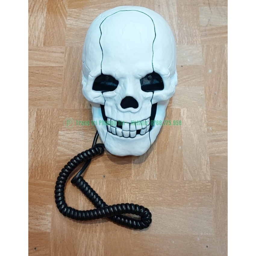 Hộp sọ trang trí