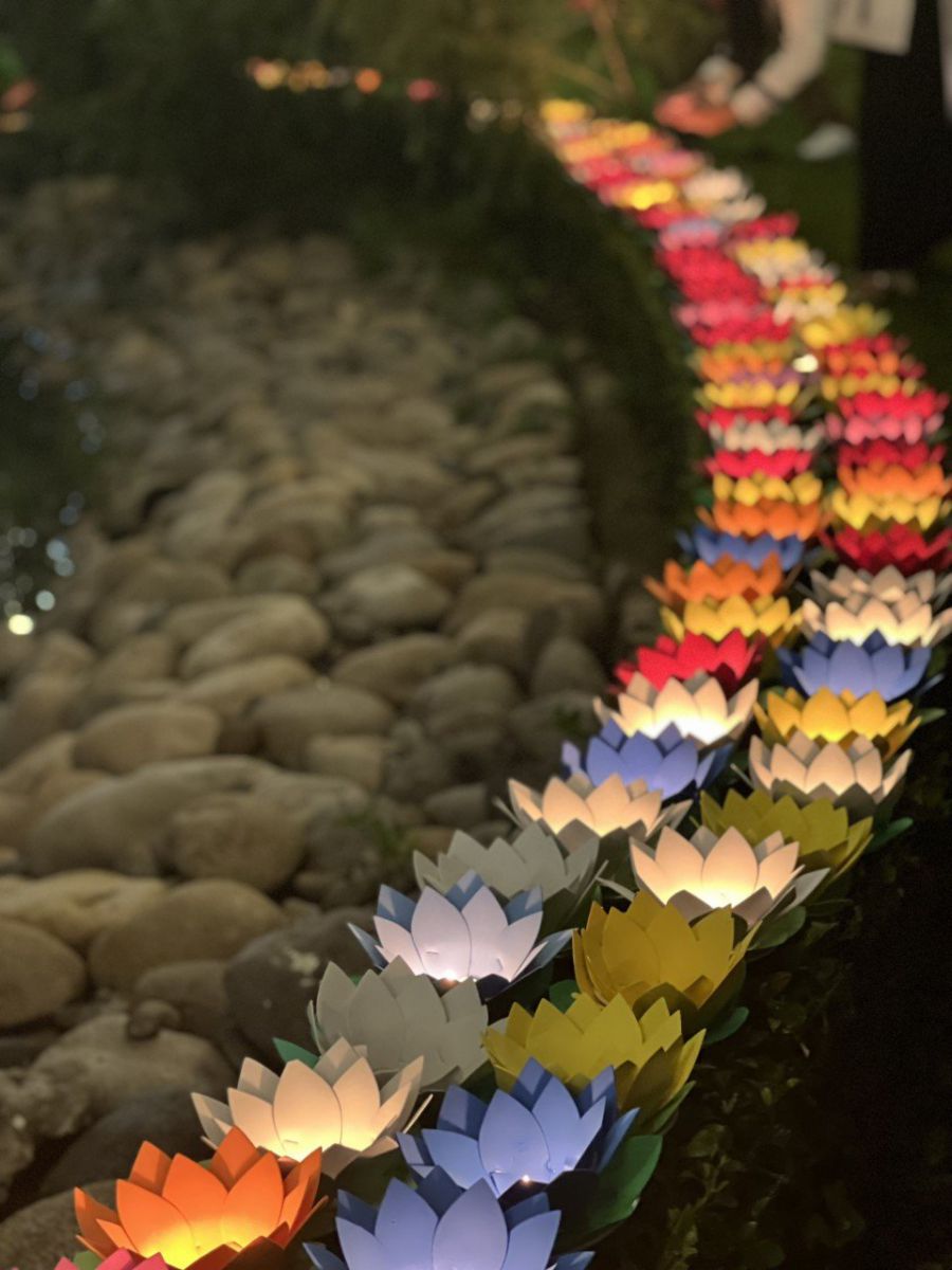 Cung cấp sỉ đèn hoa đăng mút xốp - hình 6