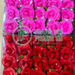 Bông voan bộ 40 cái