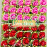 Bông voan bộ 40 cái