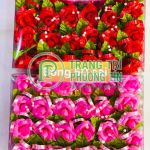 Bông voan bộ 50 cái