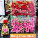 Bông voan bộ 50 cái