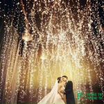 Dây đèn rể cây trang trí 