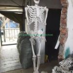 Bộ xương điều chỉnh tư thế