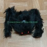 Nhền nhện đen Halloween