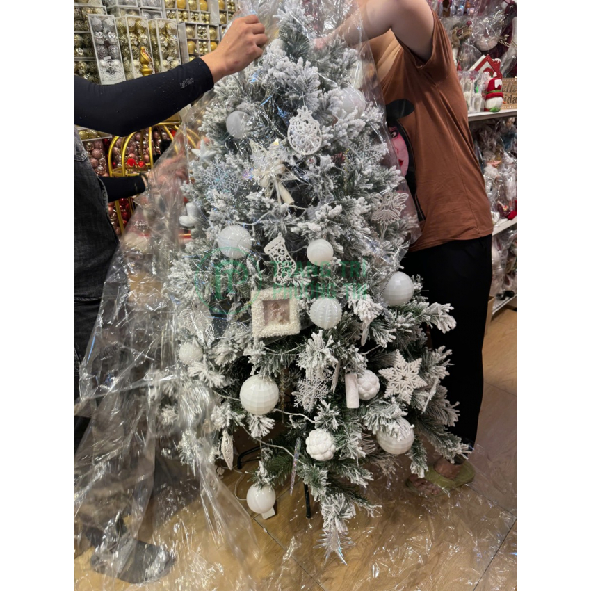 Cây thông Giáng Sinh