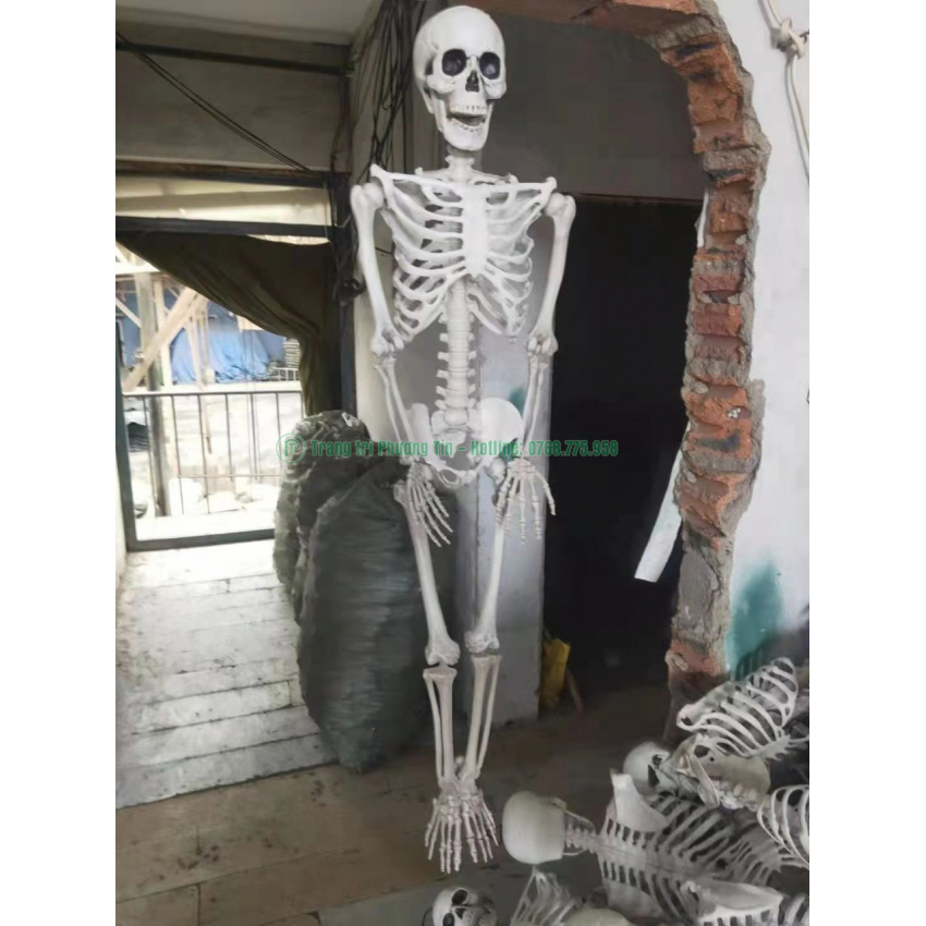 Bộ xương điều chỉnh tư thế