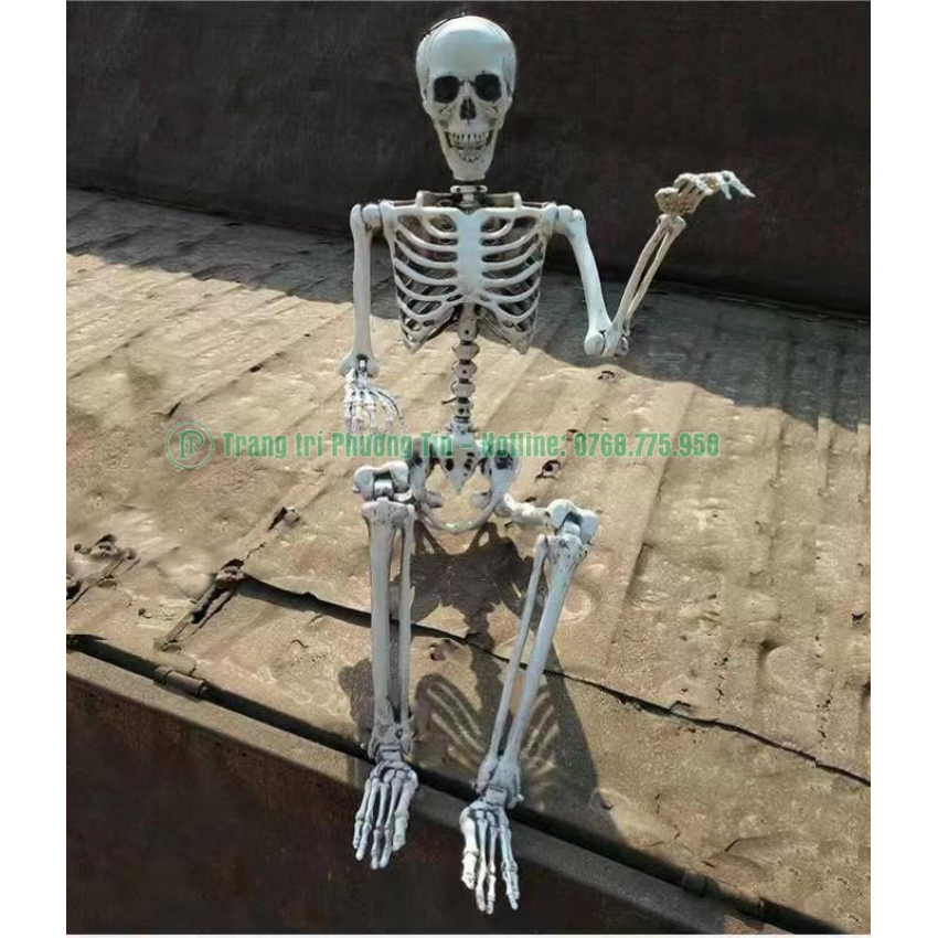 Bộ xương điều chỉnh tư thế