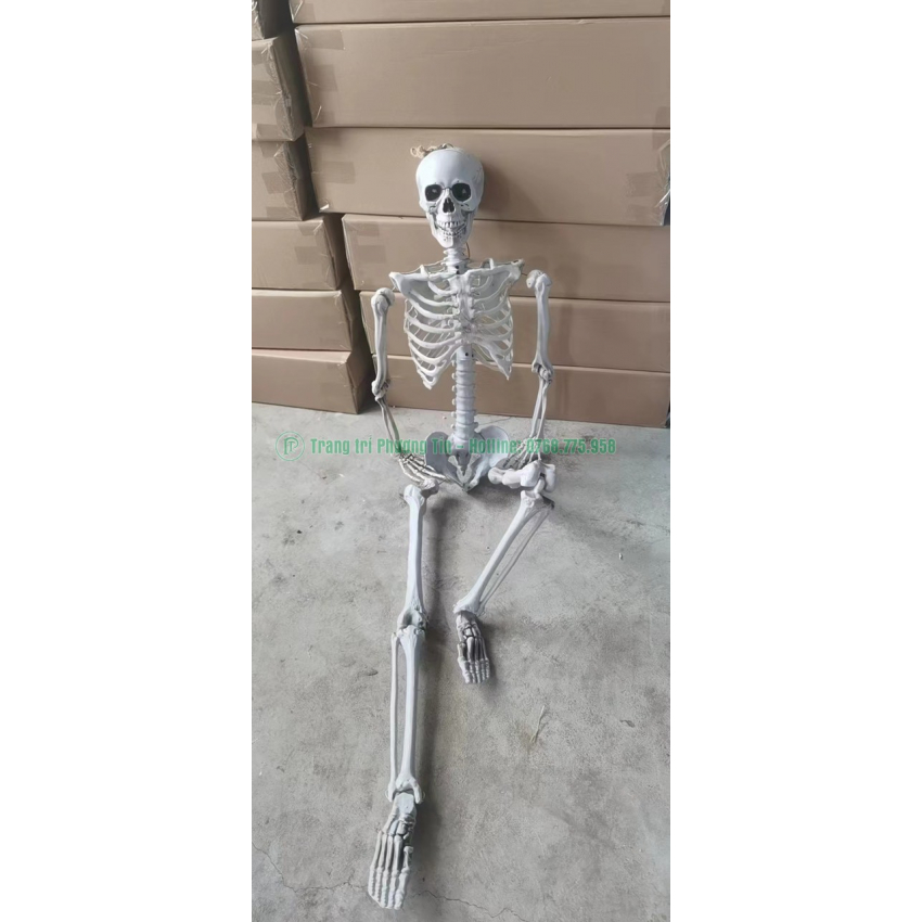 Bộ xương điều chỉnh tư thế